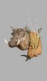 /album/afrika/prase-bradavicnate-kopie-jpg/